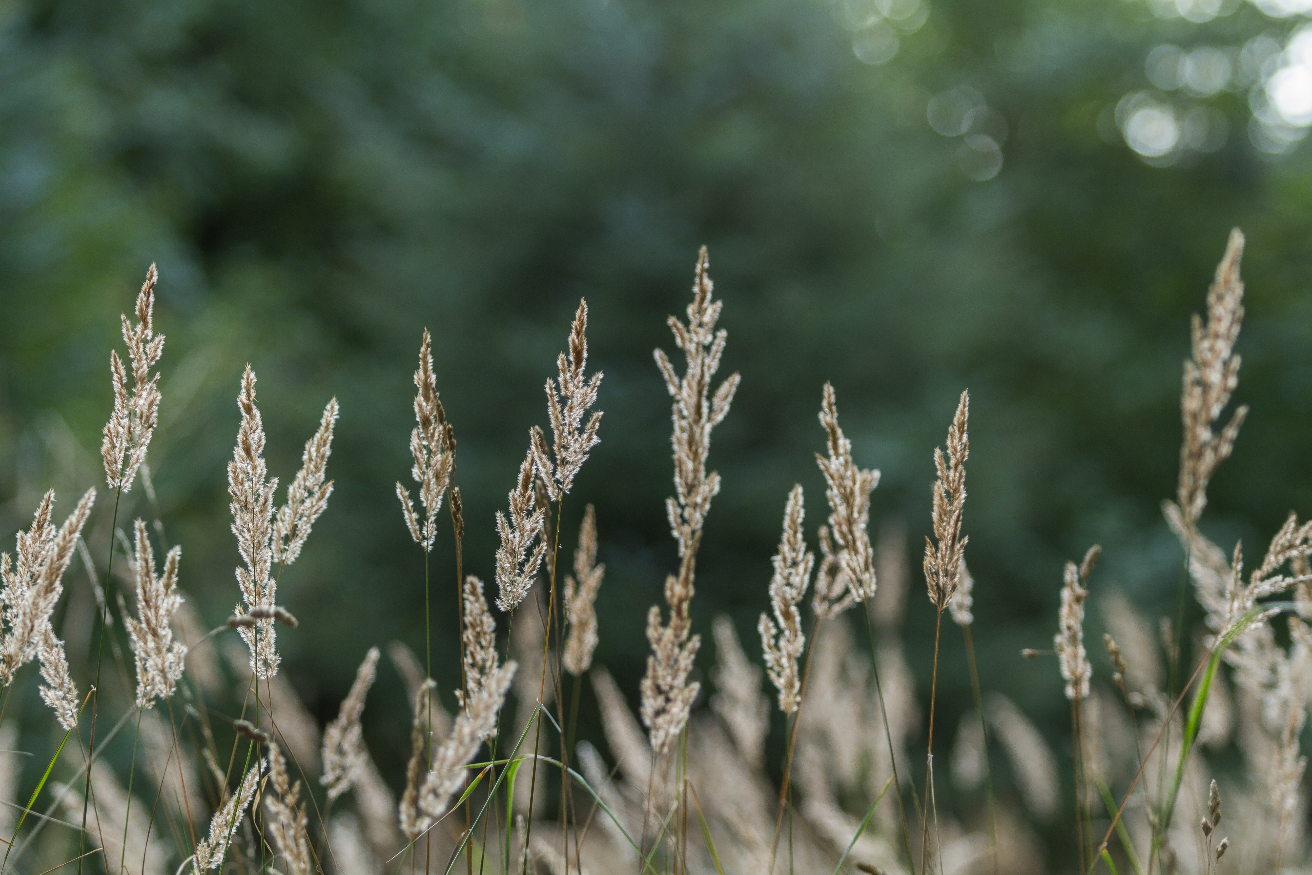 Adobestock 121470675