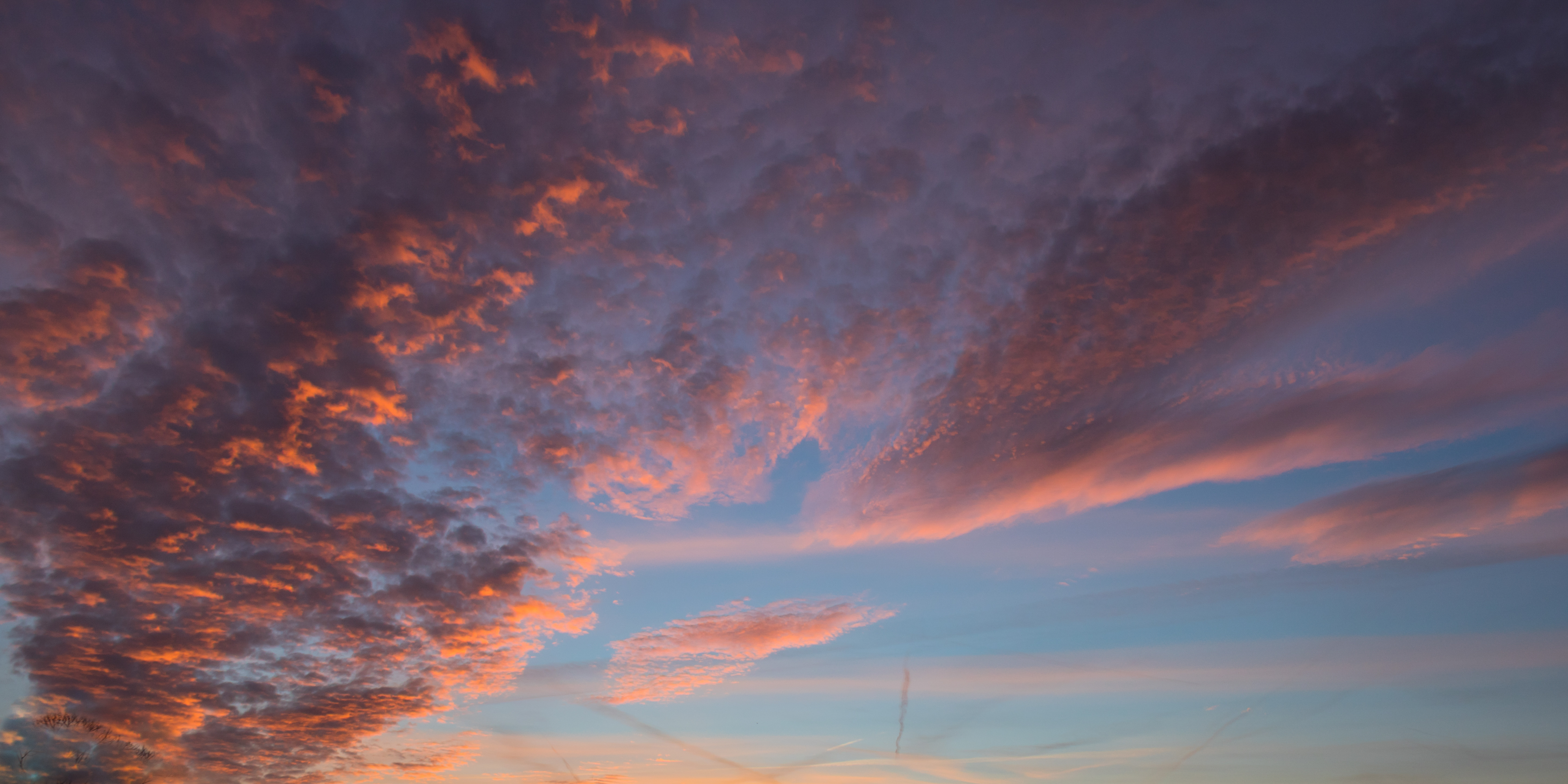 Adobestock 338934959