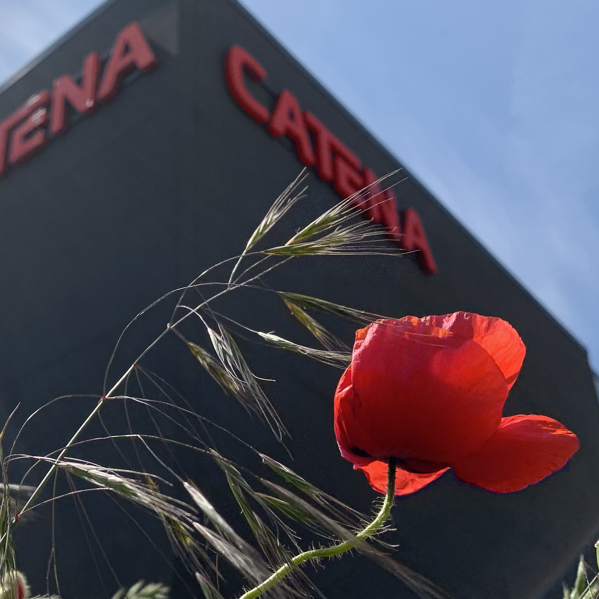 Nyhetsbrev Juli2020 Insta