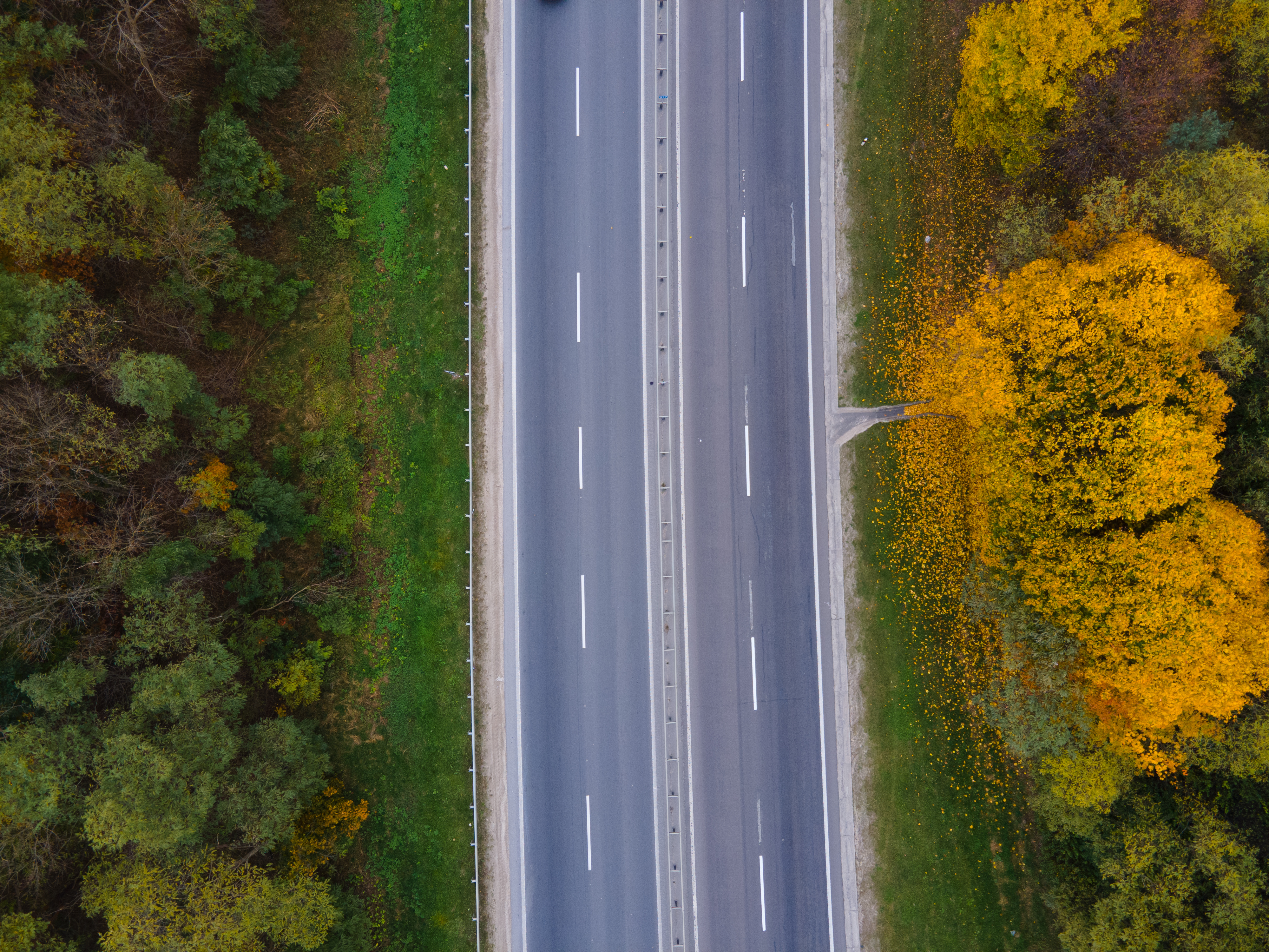 Adobestock 389429842