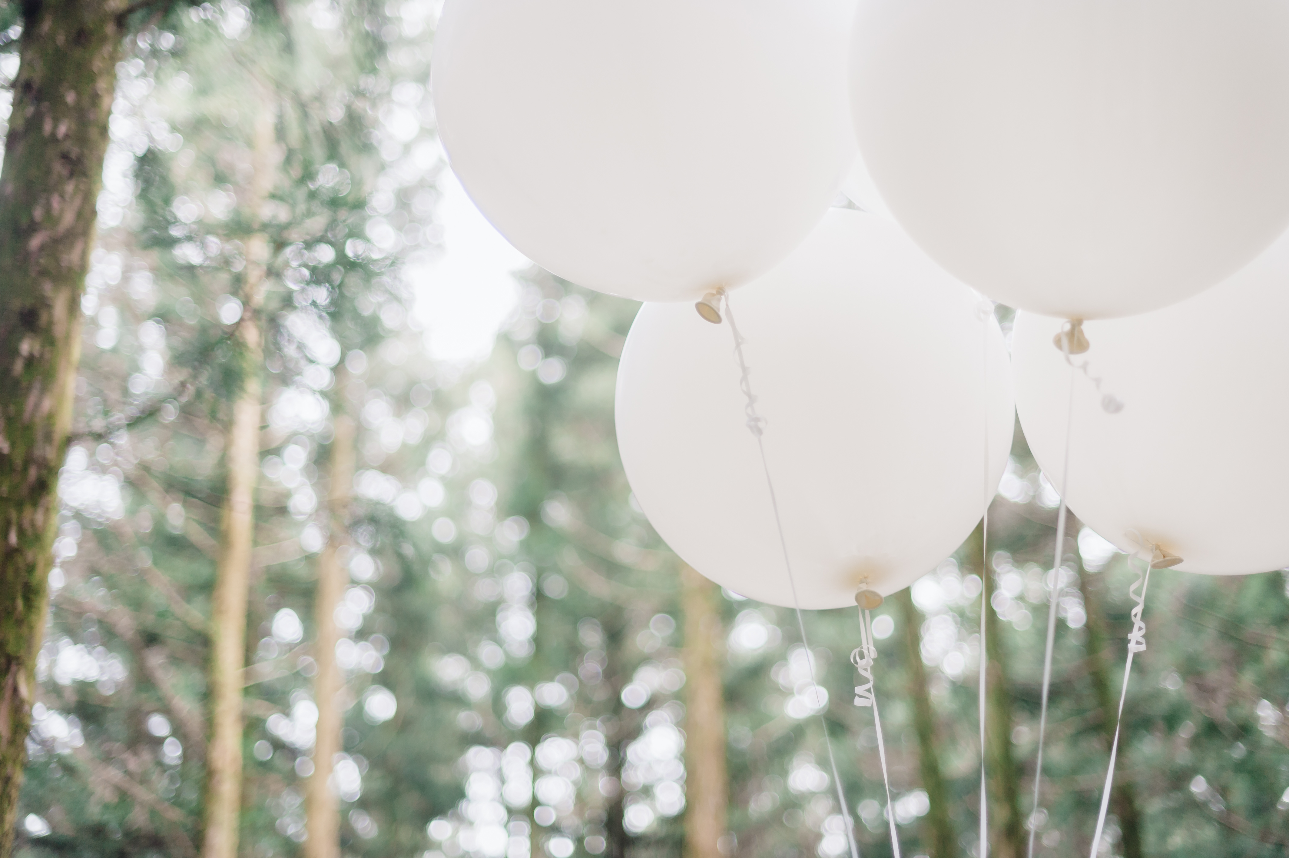 Adobestock 468545246