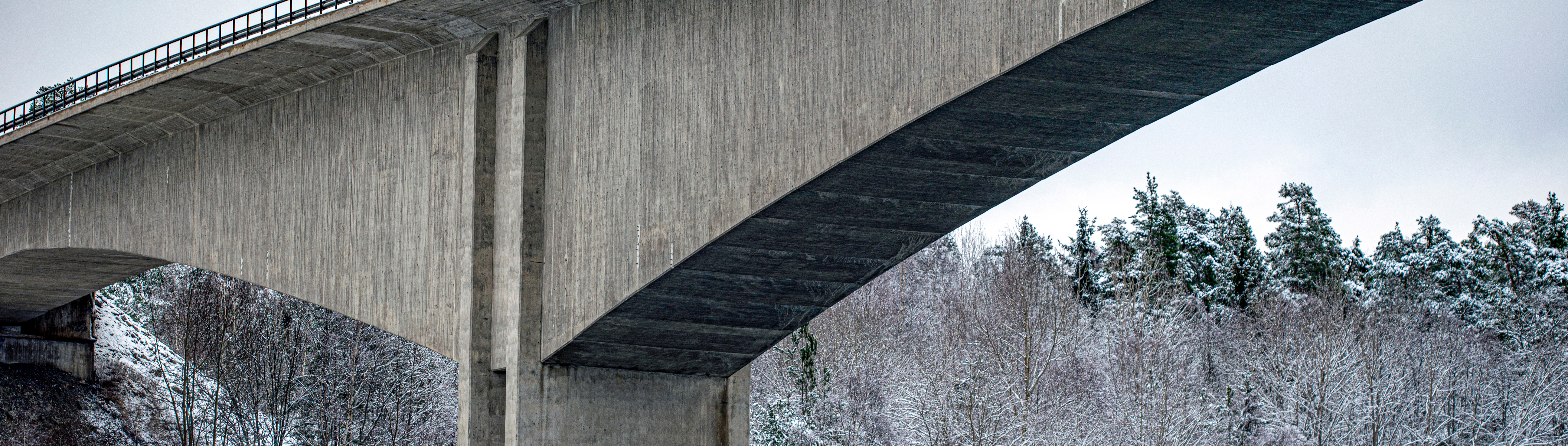 Adobestock 412008806 (1)